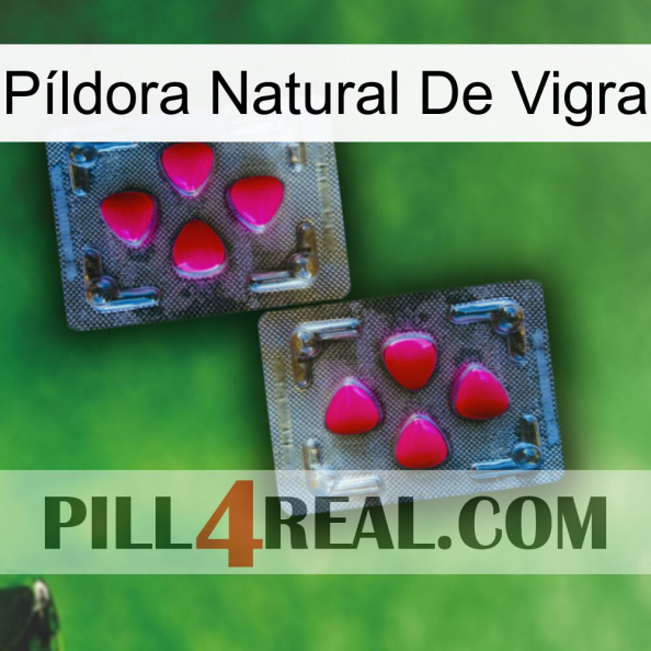 Píldora Natural De Vigra 15.jpg